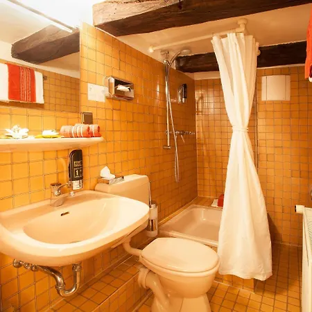 Hotel Ritter St. Georg 3*